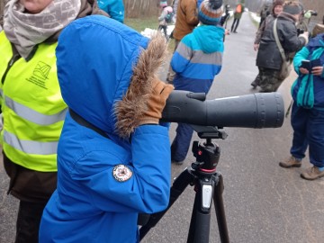 Ptakoliczenie’ 2023 w Budach Kałkach, pod egidą Jemiołuszki, 